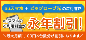 auスマートバリュー　auスマホ+ビッグローブ光