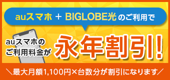 auスマートバリュー　auスマホ+BIGLOBE光